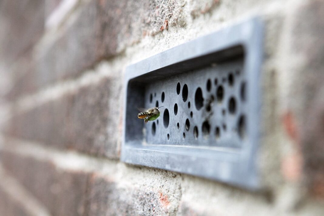 cegły dla pszczół